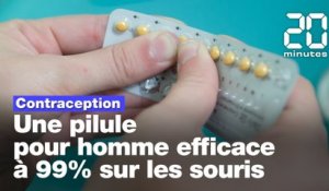 Contraception : Une pilule pour homme efficace à 99% sur les souris