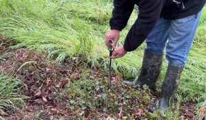 Le gel inquiète les arboriculteurs