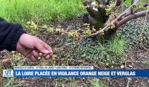 A la Une : Vigilance orange neige et verglas / Les aides à domicile créent leur syndicat / 6 communes de la Loire reçoivent des fleurs