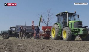 L'Ukraine, grenier à blé de l'Europe, en période de semailles
