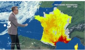 Le monde de Jamy (France 3) Sécheresse et incendies : les super-pouvoirs de nos forêts !