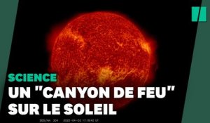 Ce "canyon de feu" apparu sur le Soleil fait 5 fois la taille de la Terre