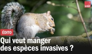 Qui veut manger des espèces invasives ?