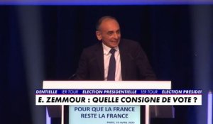 Eric Zemmour : " Je continuerai de défendre la France et nos idées"