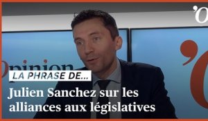 Julien Sanchez (RN): «Le RN ne ferme la porte à aucune alliance aux législatives»