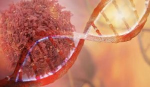 Une étude sur le cancer détecte des modèles ADN qui pourraient mener à des traitements