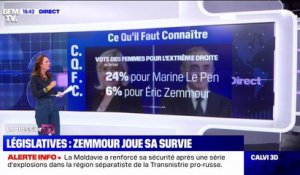 Présidentielle : quelles différences entre les électeurs de Marine Le Pen et ceux d'Éric Zemmour ?