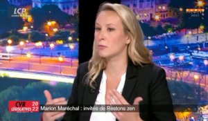 Ça vous regarde - Le mariage Le Pen / Zemmour est-il possible ?