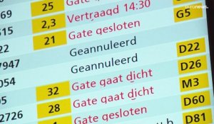 Chaos à l'aéroport Schiphol d'Amsterdam : des dizaines de vols annulés faute de personnel