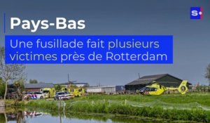 Pays-Bas : une fusillade fait plusieurs victimes près de Rotterdam