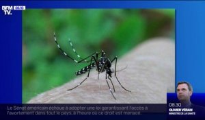 Retour du moustique-tigre: une soixantaine de départements placée en vigilance rouge