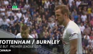 Tottenham / Burnley : le but - Premier League