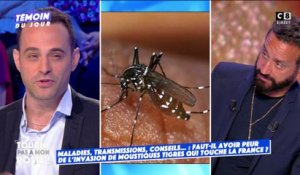 Faut-il avoir peur de l’invasion de moustiques tigres en France ?
