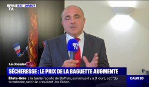 Dominique Anract, président de la Confédération nationale de la boulangerie: "Le bénéfice sur une baguette c'est environ 10 centimes"