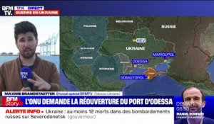 25 millions de tonnes de céréales bloquées au port d'Odessa