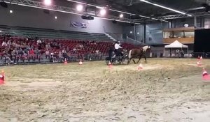 Spectacle équestre à la Foire Comtoise 2022