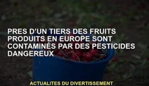 Près d'un tiers des fruits produits en Europe sont contaminés par des pesticides dangereux