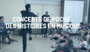 Concerts de poche : des histoires en musique à Bar-sur-Seine