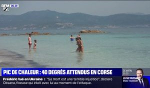 Pic de chaleur: 40 degrés attendus en Corse