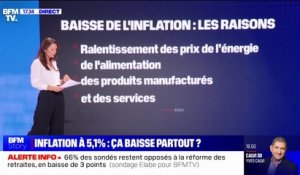 Économie: les raisons du ralentissement de l'inflation en France