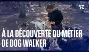 À la découverte du métier de "dog walker"