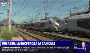 500.000 bouteilles d'eau, déformation des voies, affaissement des câbles... Comment la SNCF s'organise face à la canicule?