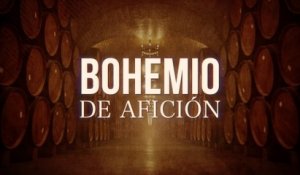 Banda Fortuna - Bohemio De Afición