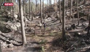 Canicule : l’ONF d’Île-de-France met en garde contre les risques d’incendie
