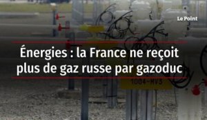 Énergies : la France ne reçoit plus de gaz russe par gazoduc