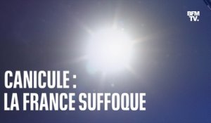 Canicule: la France suffoque