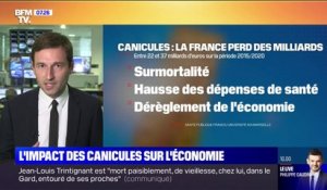Les canicules ont coûté entre 22 et 37 milliards d'euros à la France entre 2015 et 2020