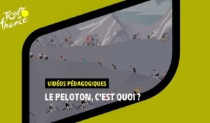 Vidéos pédagogiques - Le peloton - #TDF2022