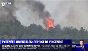 Incendies dans les Pyrénées-Orientales: où les feux ont-ils repris ?