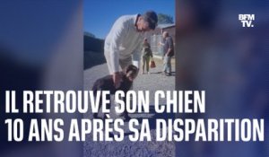 Un chien retrouve ses maîtres en Lozère, 10 ans après avoir disparu dans le Vaucluse