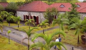 Martinique - Le goût sucré de la canne