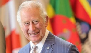Prince Charles ému : les détails de sa rencontre avec Lilibet dévoilés