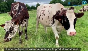 La Ferme de Merval (76) :  9 actifs avec 115 vaches laitières sur 117 ha