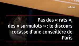 Pas des « rats », des « surmulots » : le discours cocasse d’une conseillère de Paris