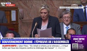 Marine Le Pen interpelle Élisabeth Borne sur "l'expulsion des étrangers reconnus coupables d'actes graves par la justice"