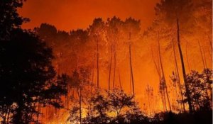 VOICI : Incendies en Gironde : attristé, Pascal Obispo remercie les pompiers