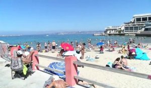 Marseille : Attention aux méduses !