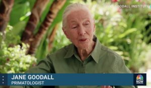 La célèbre primatologue britannique Jane Goodall a désormais une Barbie à son effigie, qui vient d'être dévoilée par son fabricant américain Mattel