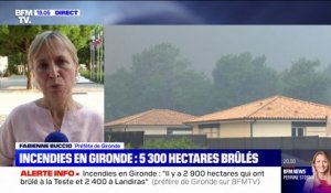 Incendies en Gironde: 5300 hectares de forêt ravagés par les flammes