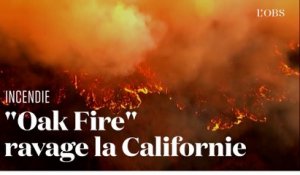 Les images aériennes de "Oak Fire", le feu qui menace la forêt du parc Yosemite en Californie
