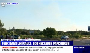 Incendies dans l'Hérault: près de 200 personnes qui s'apprêtaient à célébrer un mariage ont été évacuées à Aumelas