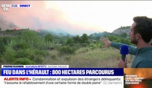 Les images de l'incendie d'Aumelas, dans l'Hérault