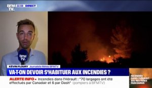 Incendies dans l'Hérault: le vent va baisser dans la nuit, mais les rafales reprendront dans la matinée
