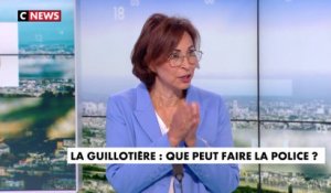Naïma M'Faddel : «Notre pays ne protège plus les citoyens»