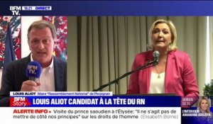 Louis Aliot, candidat à la présidence du RN: "il faudra préparer le mouvement à assumer le pouvoir demain"