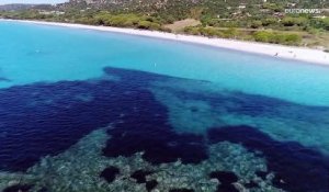 La mer Méditerranée à 30 degrés, écosystèmes en danger